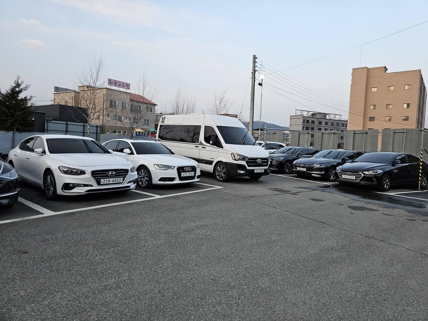 렌터카 보유 차량